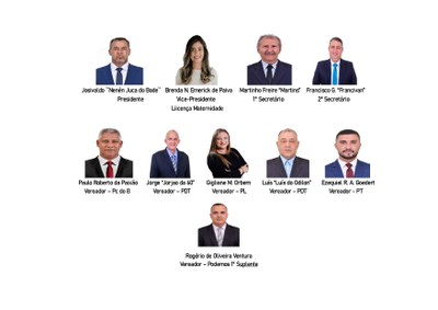 PARLAMENTARES 2025 1_page-0001 (1) foto.jpg